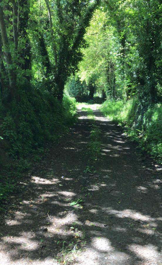 Manoir De Penn Lann Panzió Paimpol Kültér fotó